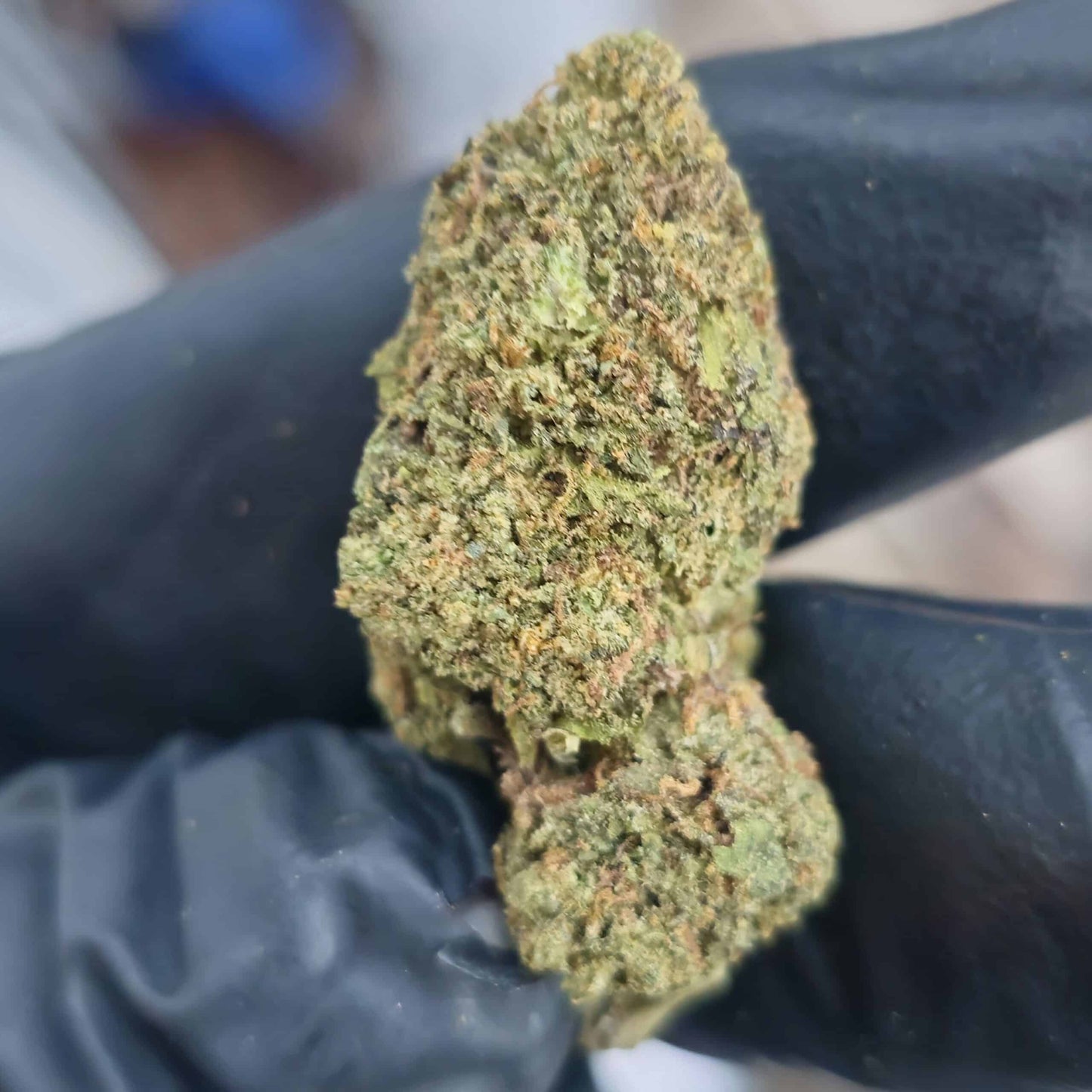 Gruntz-28 Gram