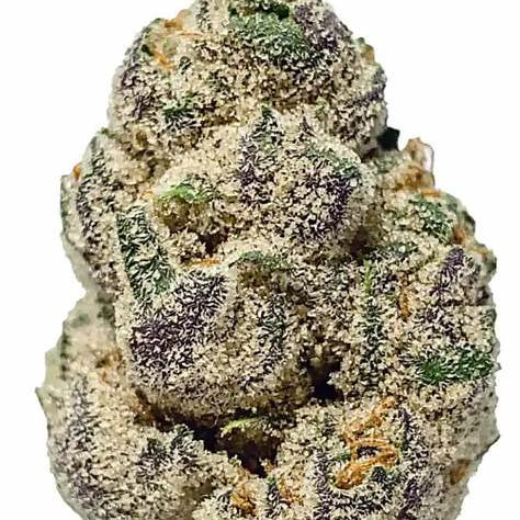 Lemon Cherry Gelato 1g