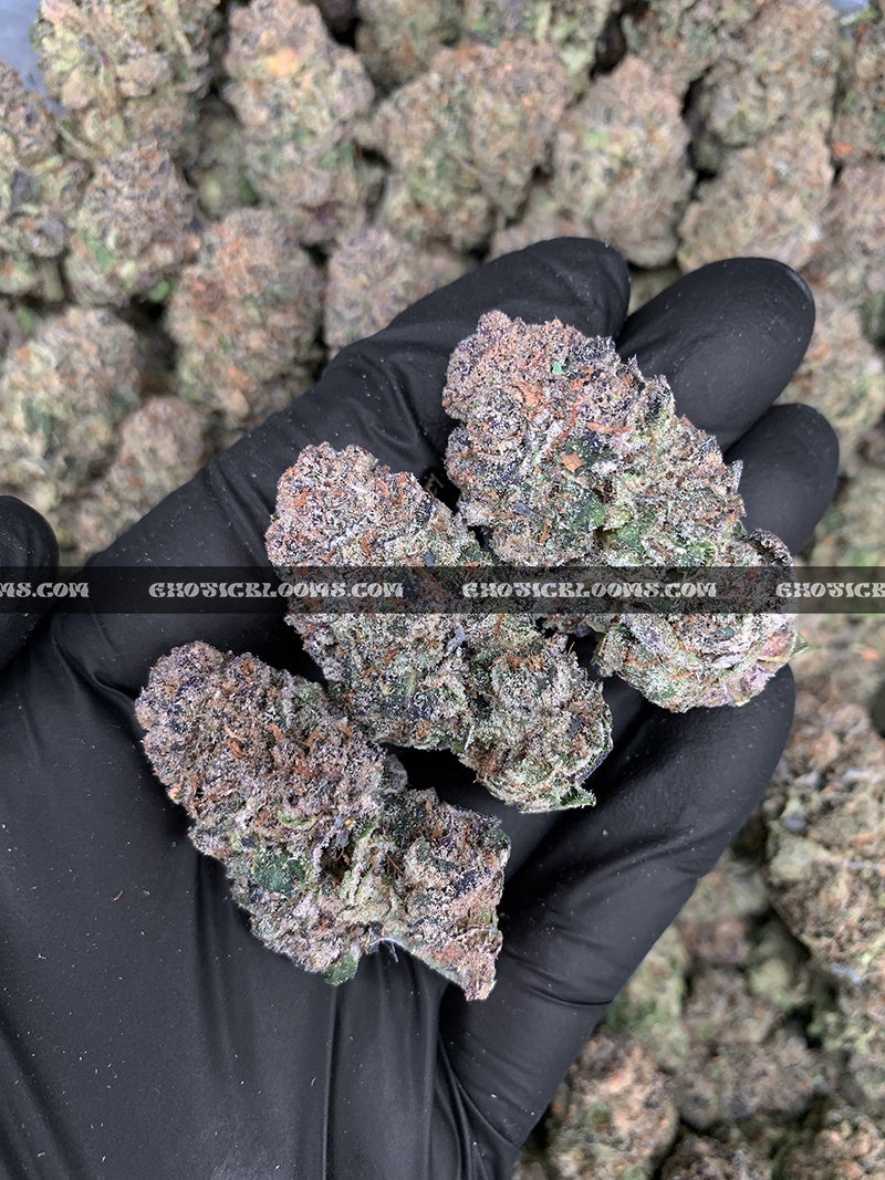 Permanent Z-7 Gram