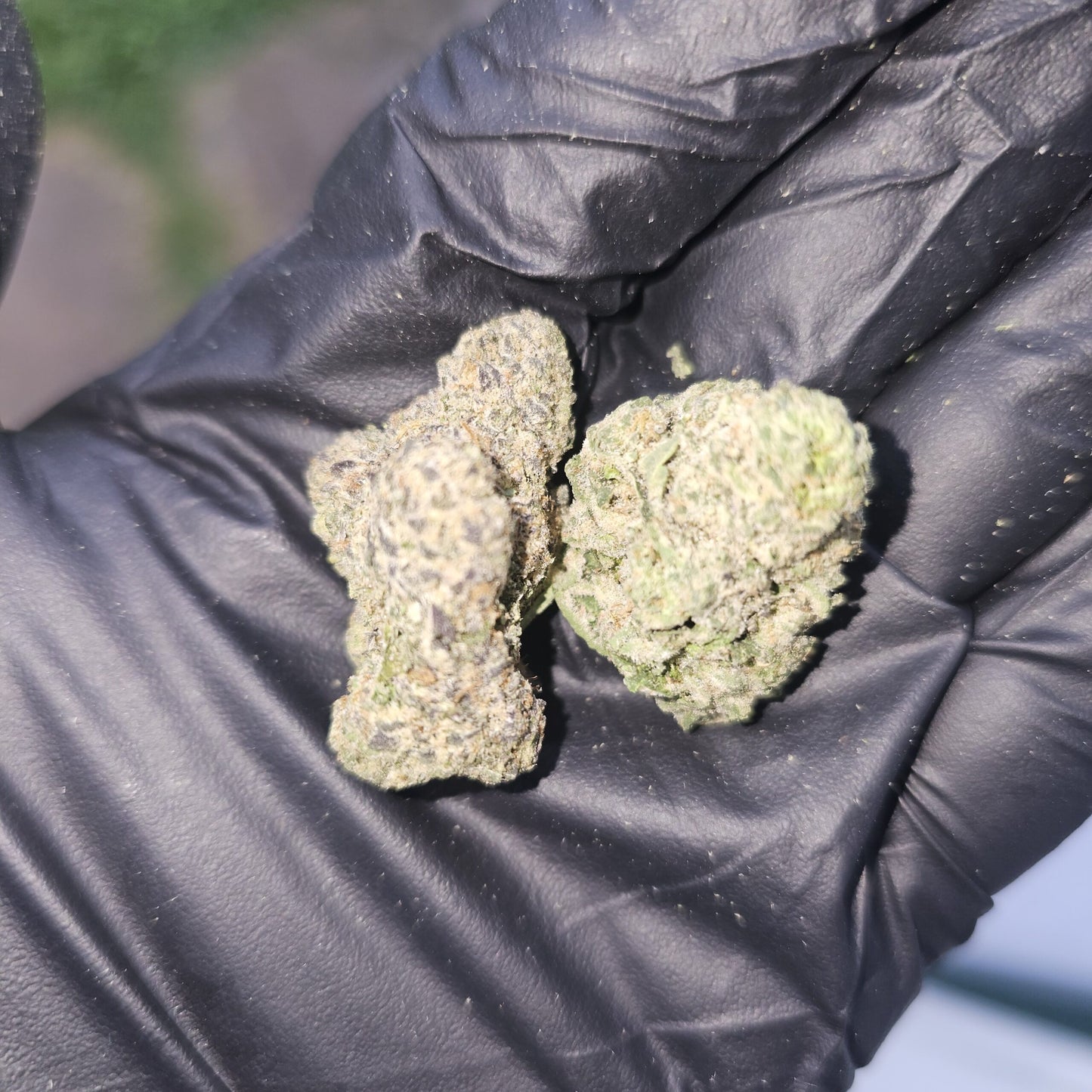 Kush Mintz 3.5 Gram (exotic)