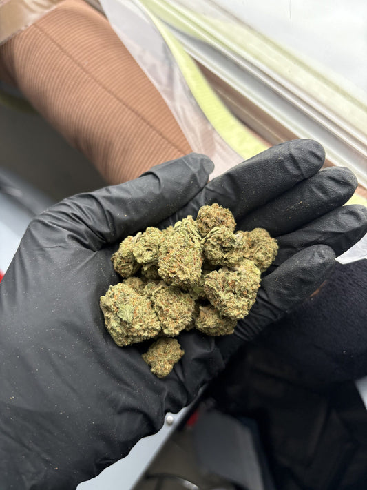 GMO-3.5 Gram