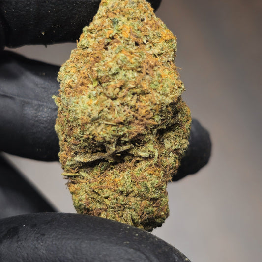 Blueberry Muffin-7 Gram (Indoor Brown Tint)