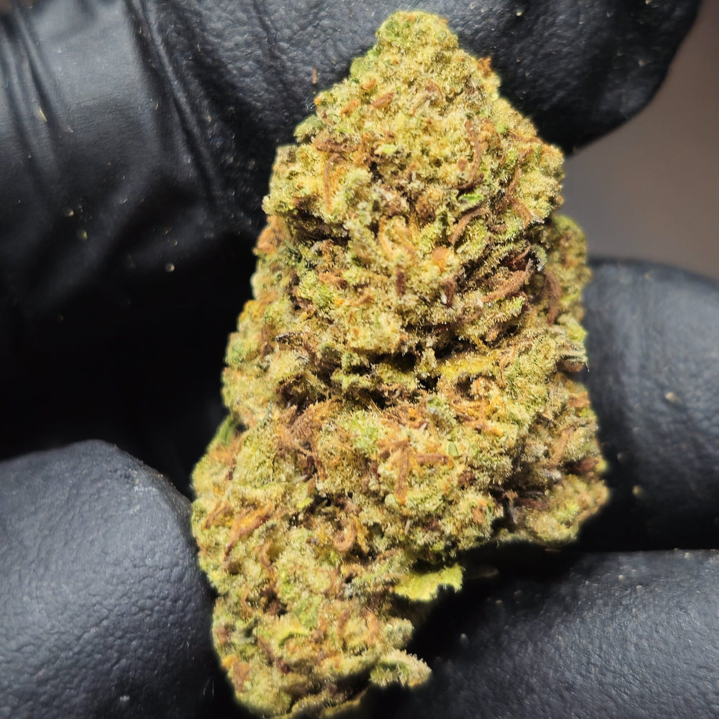 Smarties 3.5G