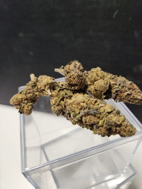 Exotic Medz | Runtz (1 Oz.)
