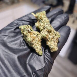 Glitter Bomb 28 Grams (Exotic)