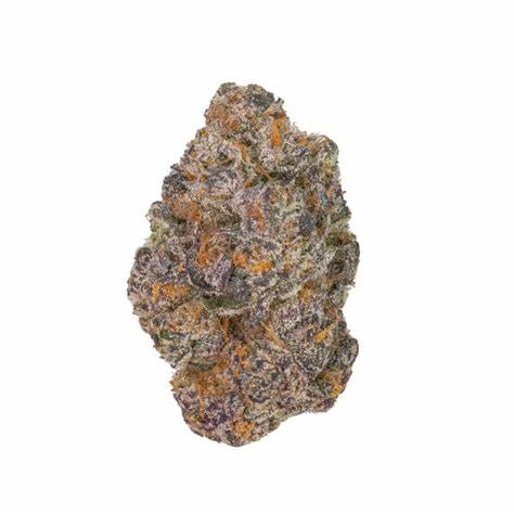 Apple Fritter