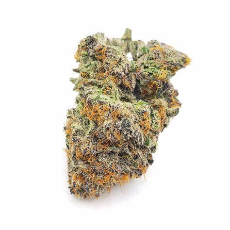 Gelato Cake