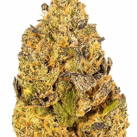 Horchata x grape gas
