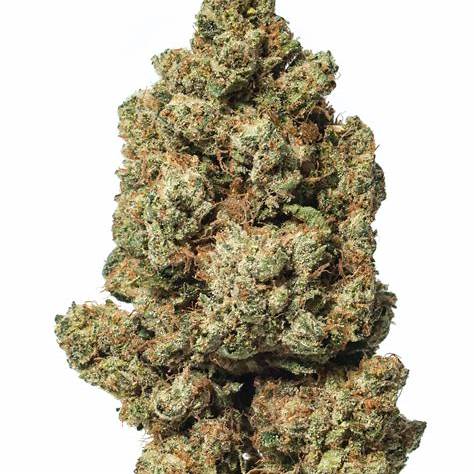 Venom OG