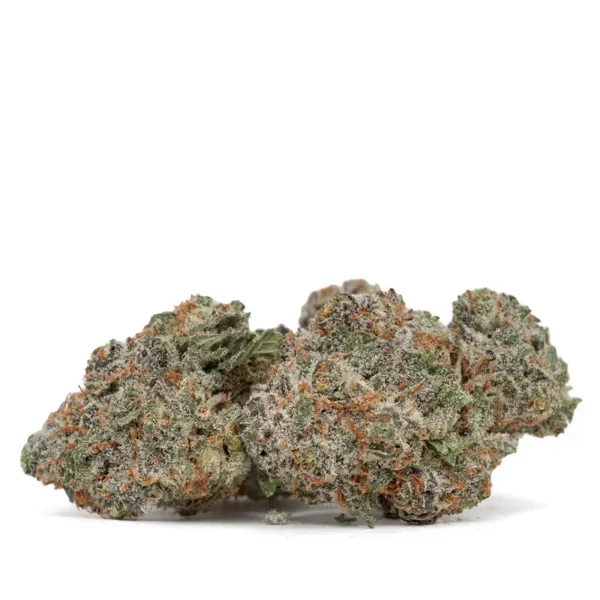 Blueberry Pancake